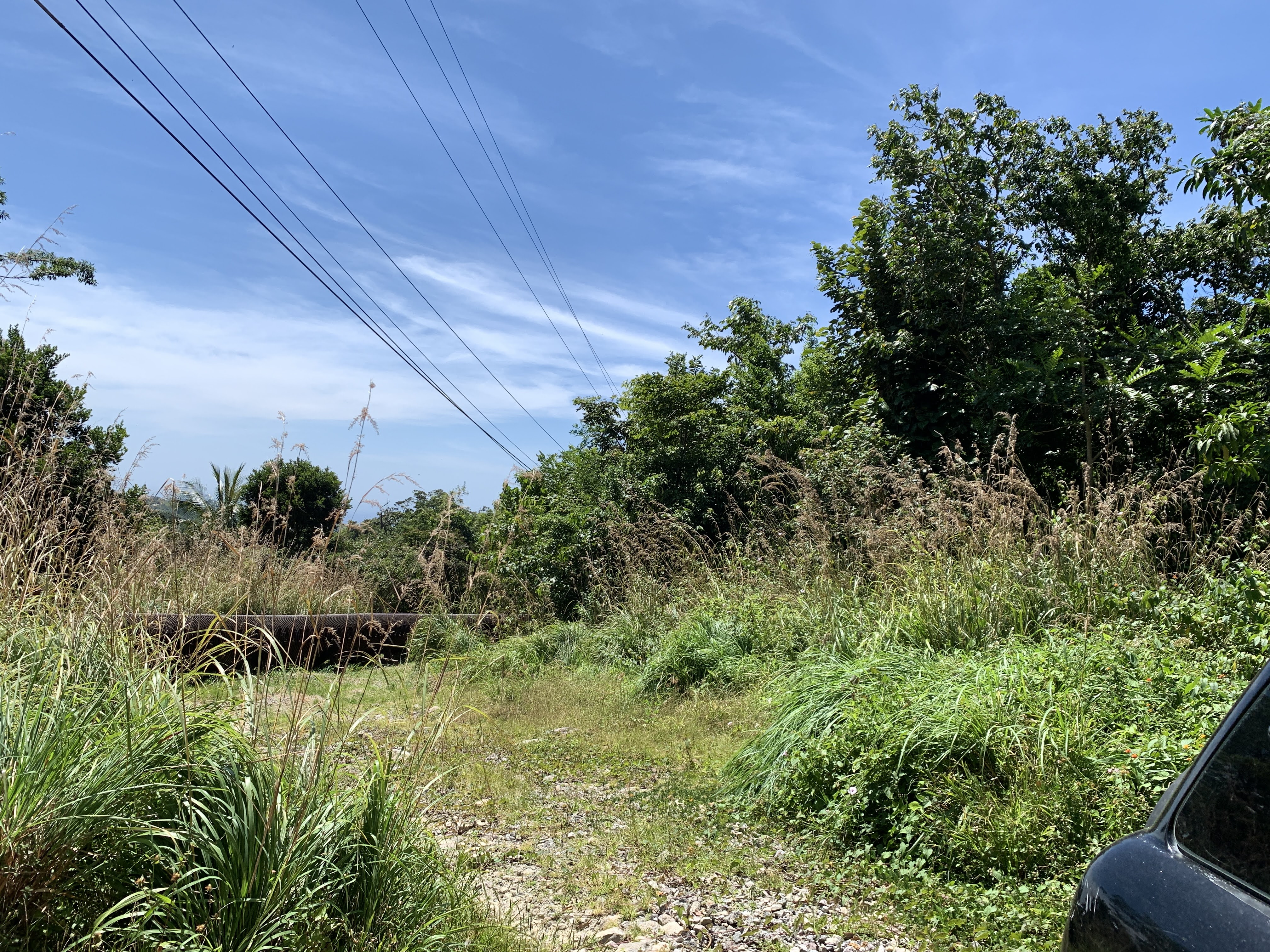 Dominica Geothermal Risk Mitigation Project II (World Bank Funded)